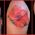 A collection at tattoos done by Mr Lucky