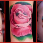 A collection at tattoos done by Milo Marcer