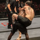 Mixed Martial Arts action at its best at EFC Africa 30