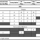 SA Media Mixed Martial Arts Ranking for Welteweight