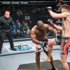 Elvis Moyo vs Tomasz Kowalkowski