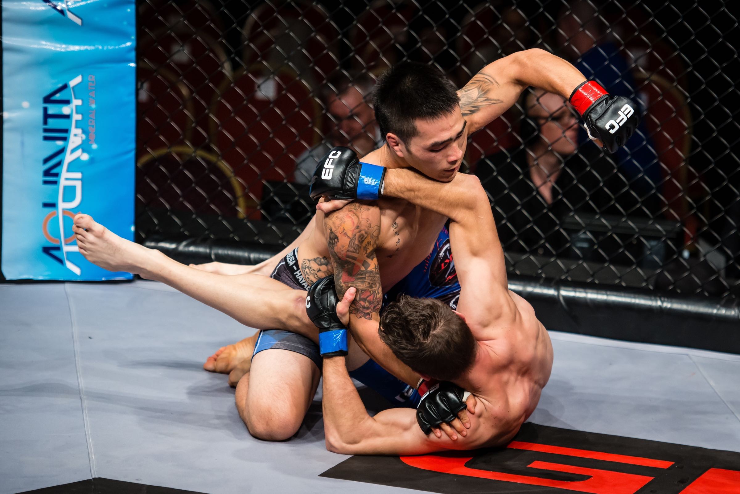 DuHo Kim vs Pieter De Klerk MMA fight at EFC Worldwide