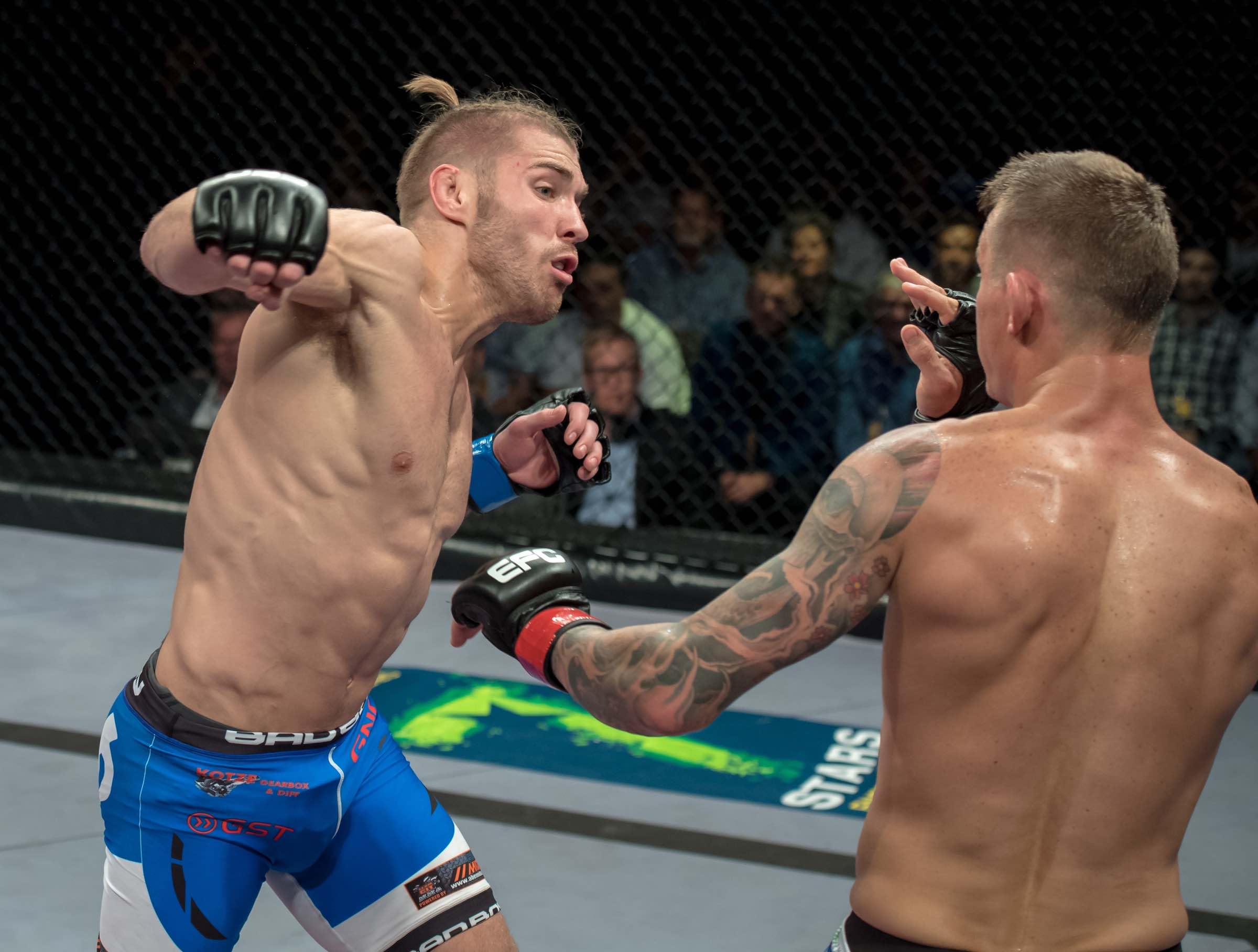 The Welterweight Title Fight between Dricus du Plessis and Martin van Staden