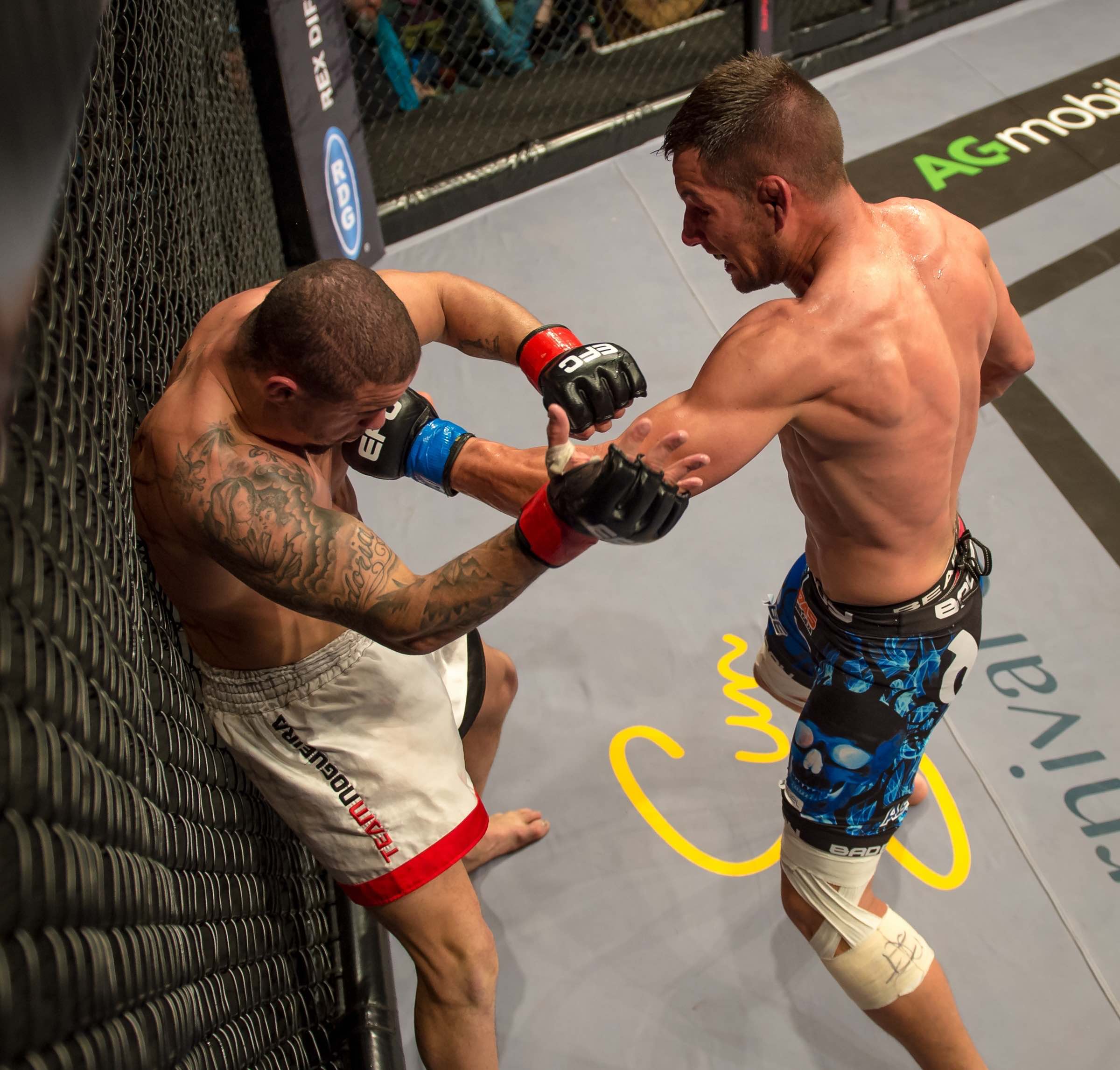 Gareth Buirski vs Magno Alves at EFC 51
