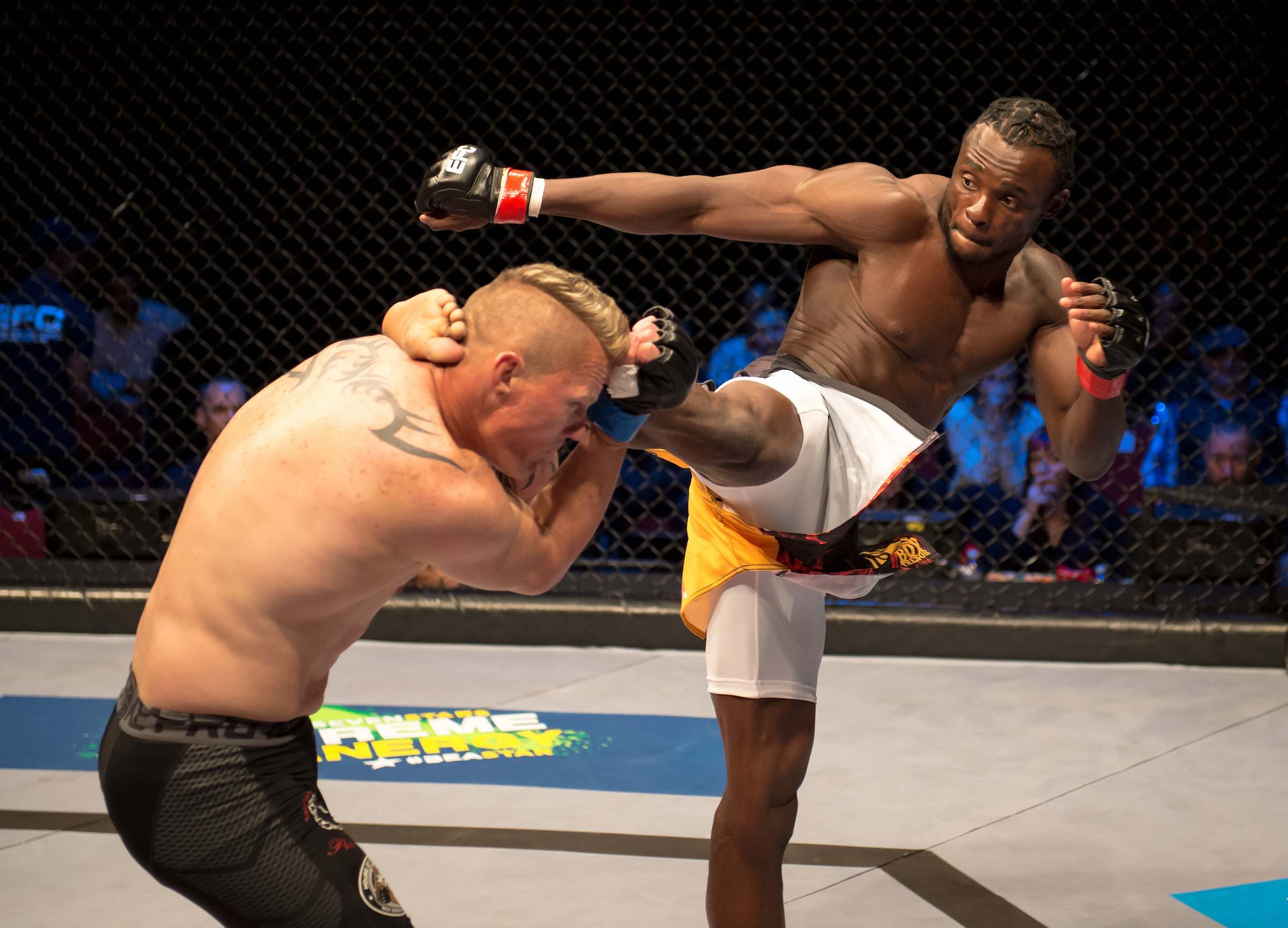 Pietie Coxen vs Pupanga Tresor