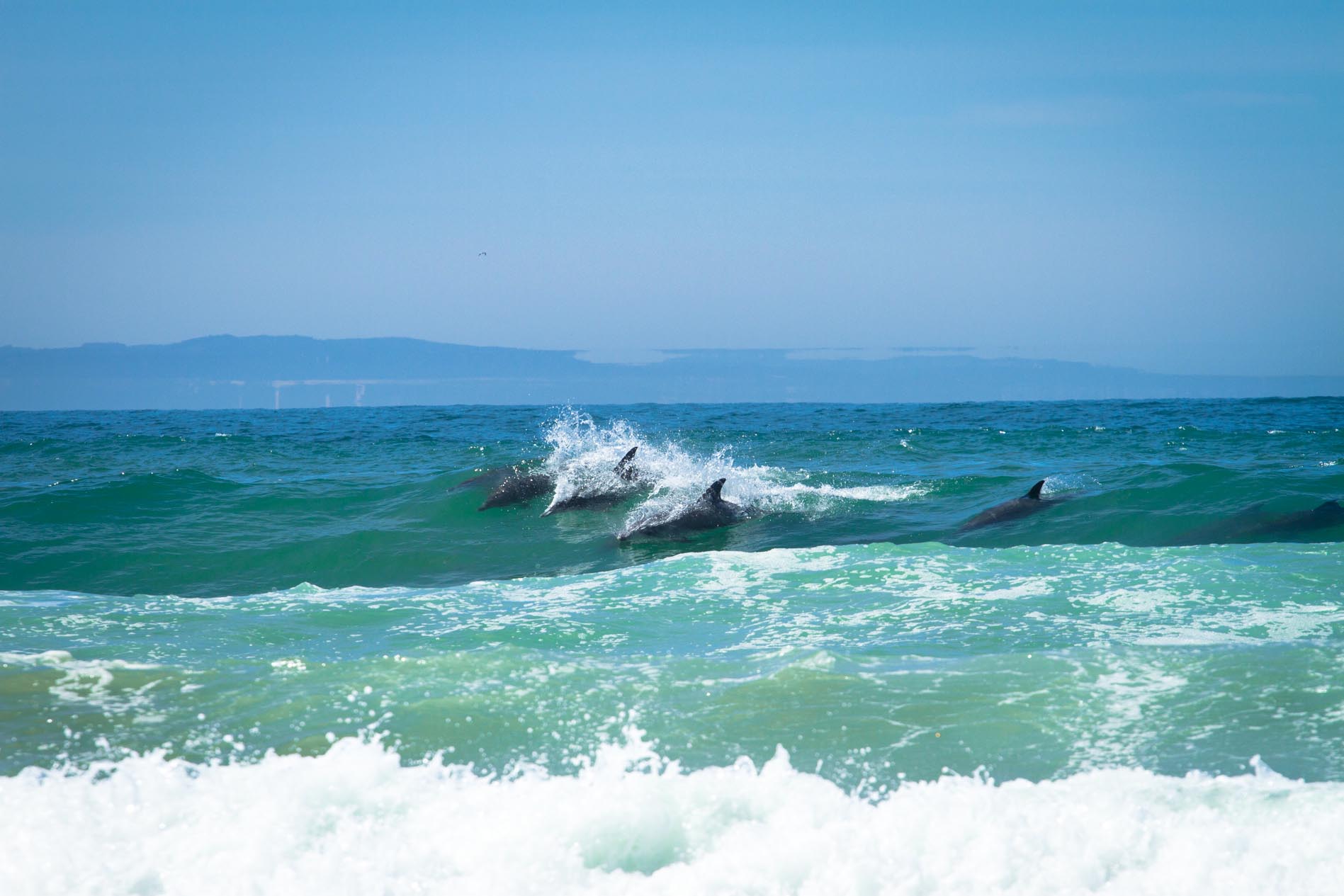 Perfect condition in JBay met the 2016 Billabong SA Junior champs