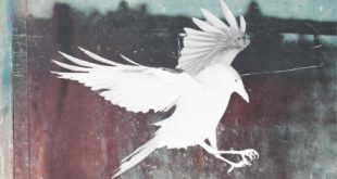 Check out the new music by MadAshlynn for their single Bloodshot, taken off their album entitled Conflicts and Conquerors.