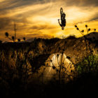 Justin Novelle shredding the garden Route trail park dirt jumps