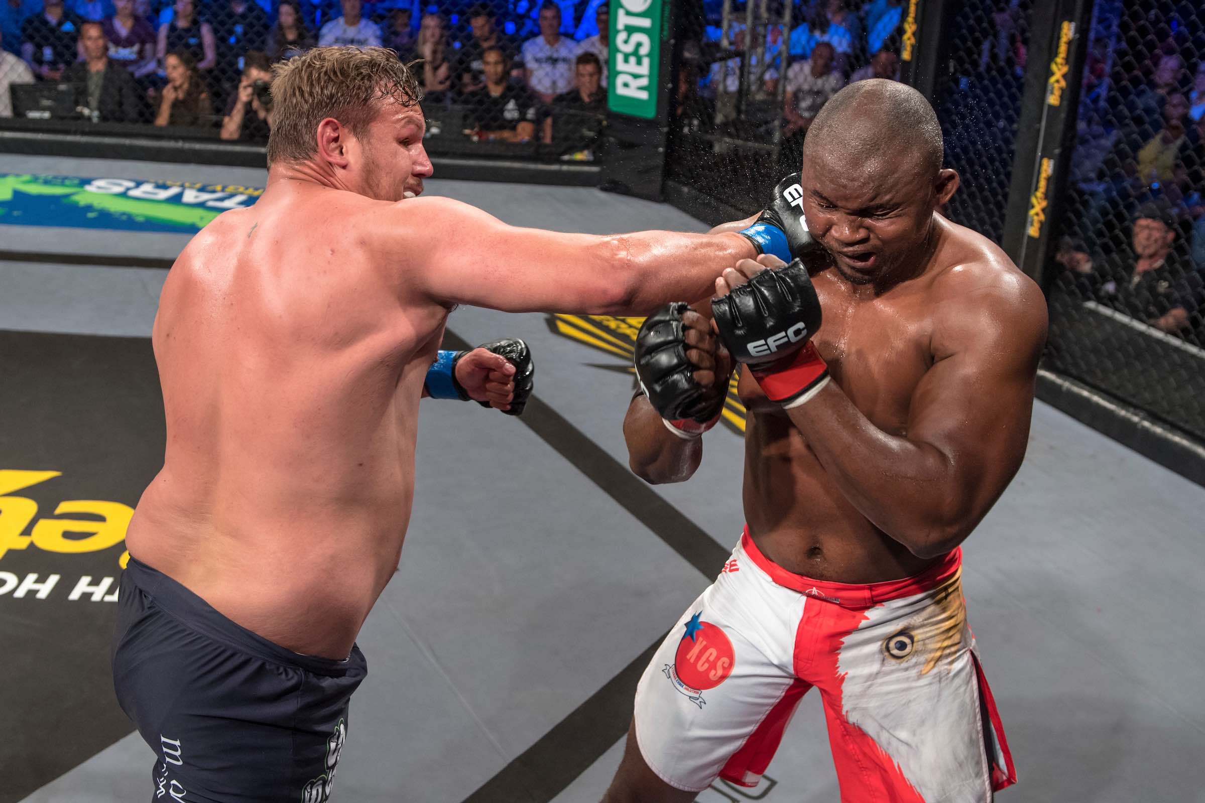 Wessel Mostert vs Ricky Misholas