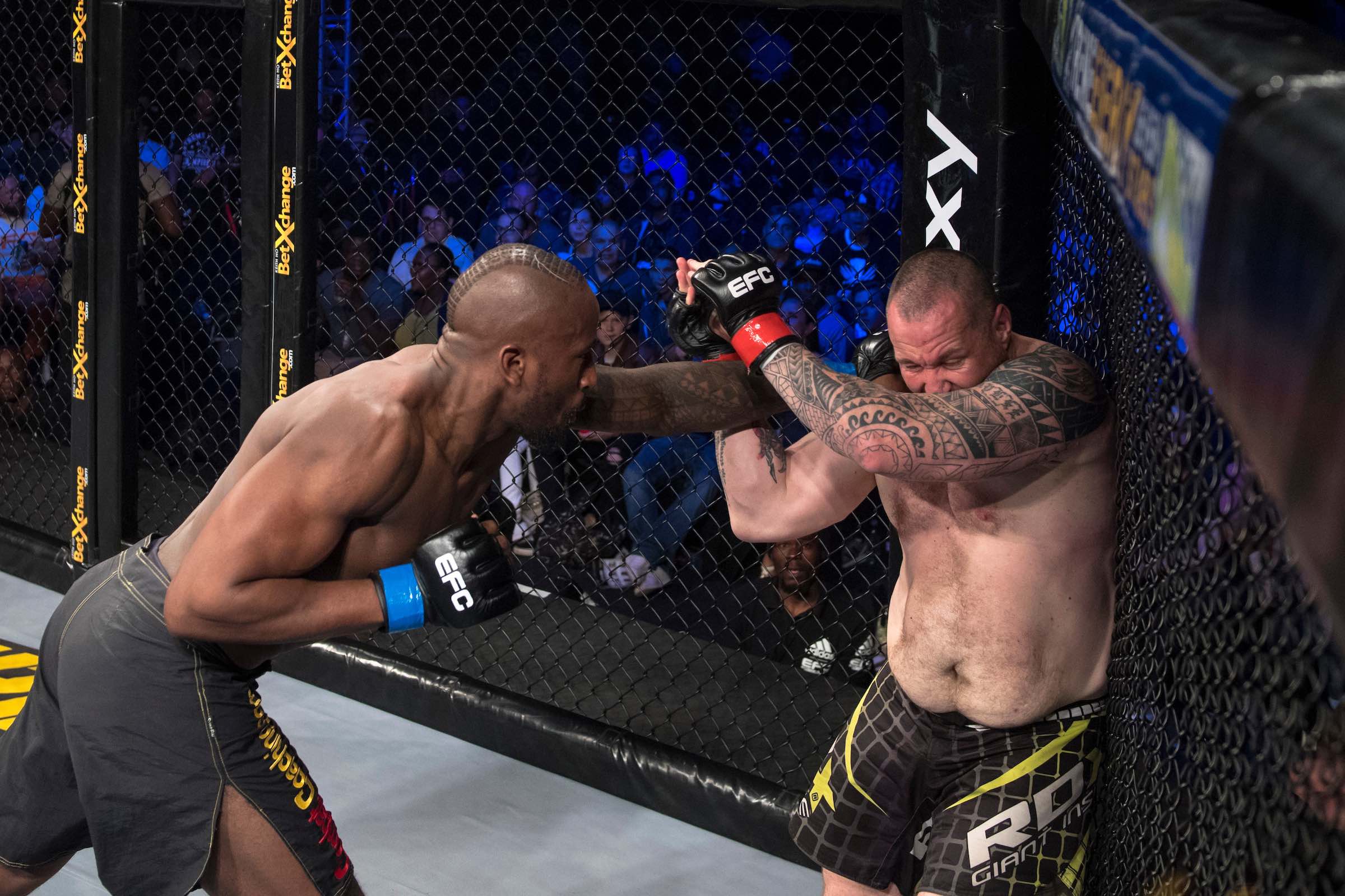Thabani Mndebela vs Simon Harle