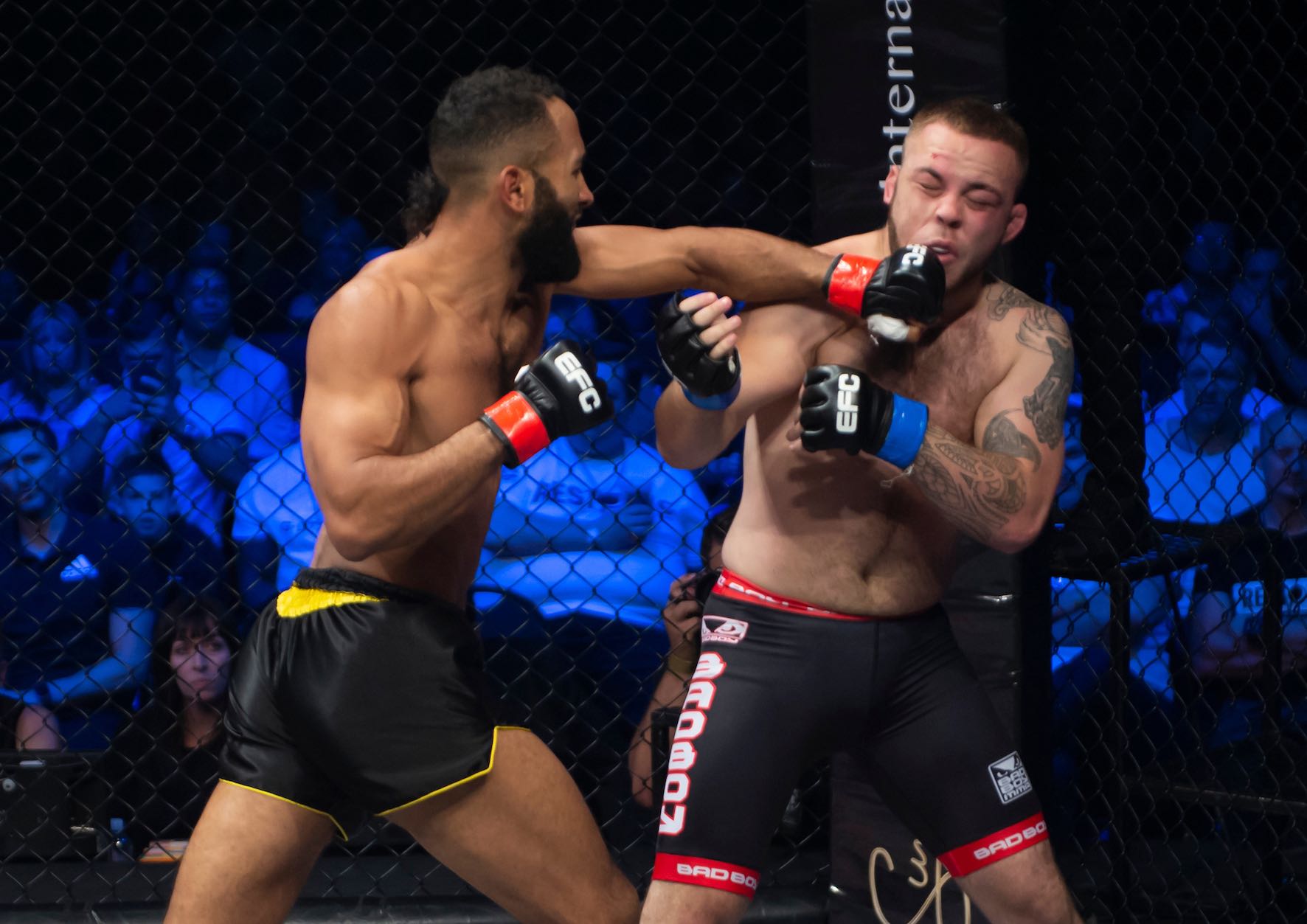 Armand Scheepers vs Joe Cummins