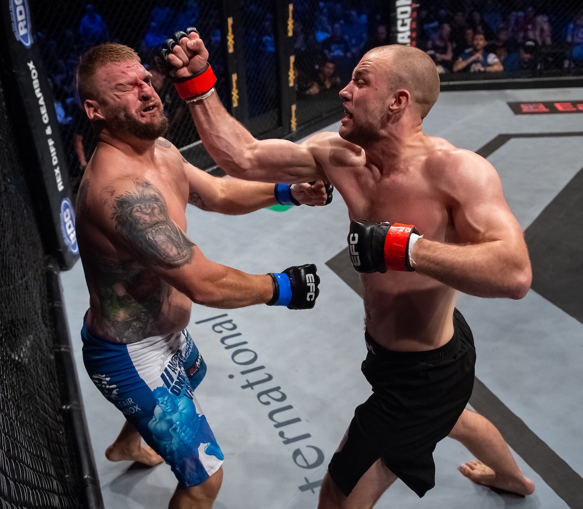 Stuart Austin vs Andrew Van Zyl