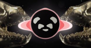 Veranda Panda have done remix of one of their original tracks, Full Tilt. Take a listen to the Top Lobster Remix here.