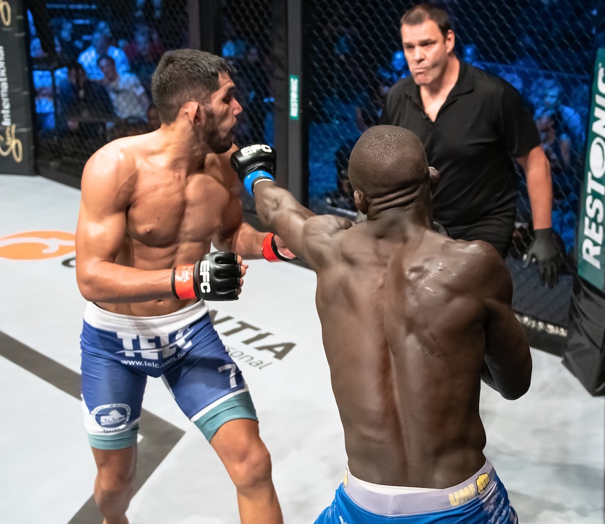 Jose Da Rocha vs Themba Gorimbo