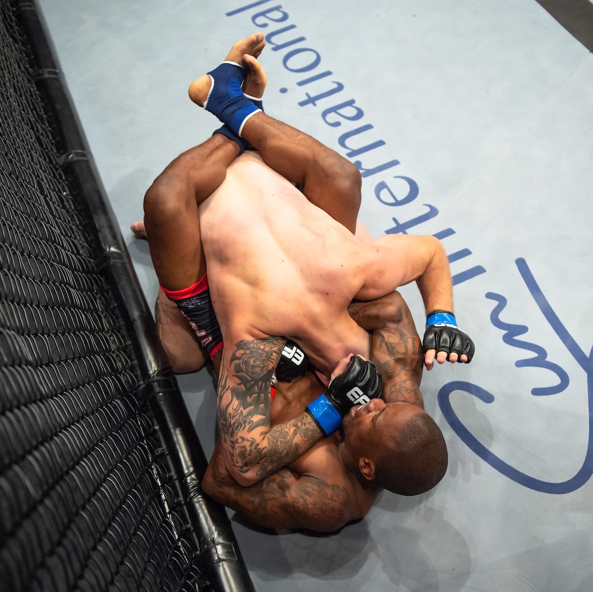 Results from all 11 Mixed Martial Arts fight from EFC 79