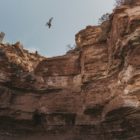 Brendan Fairclough comptes at Red Bull Rampage 2019