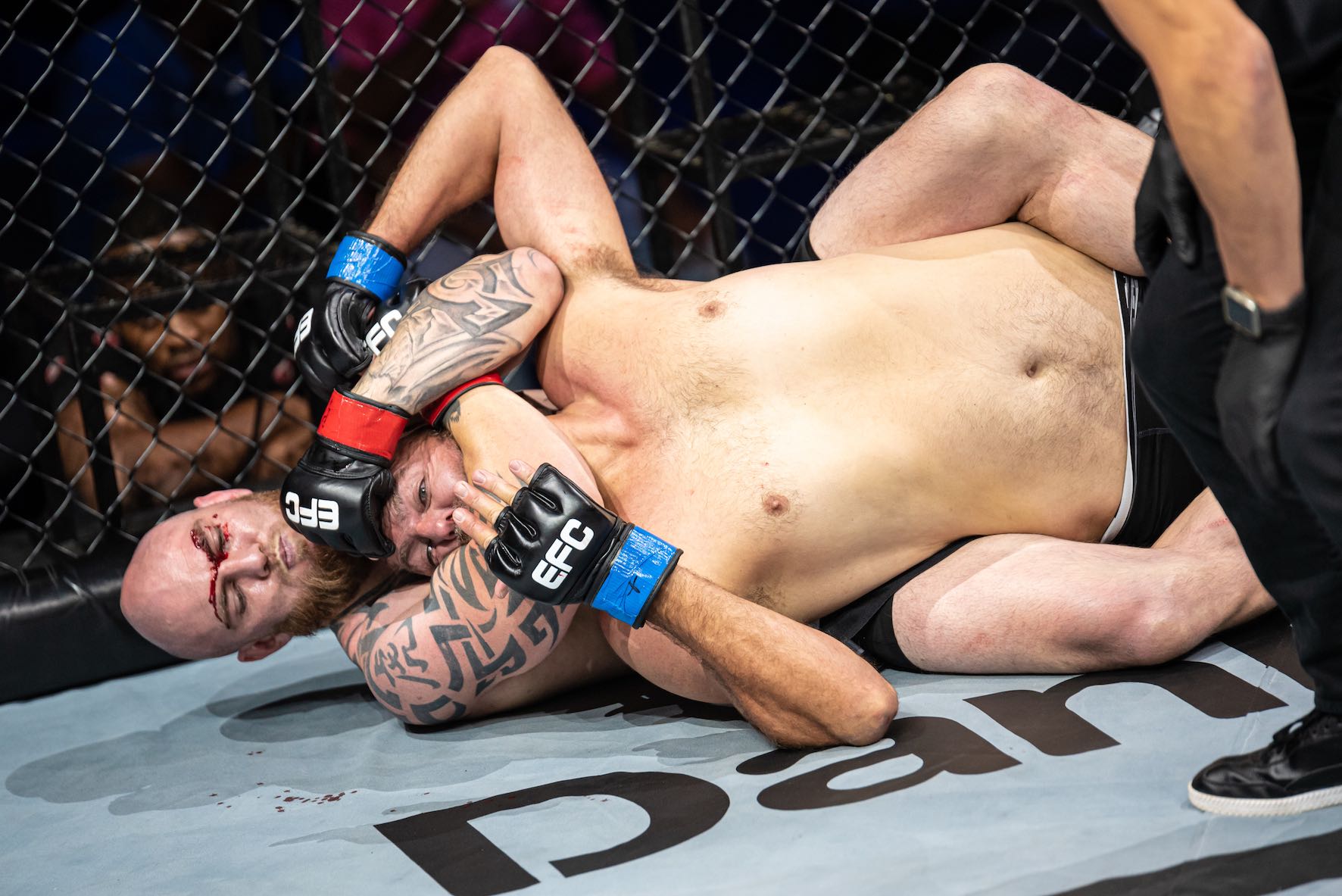 Results from all 12 Mixed Martial Arts fights from EFC 84